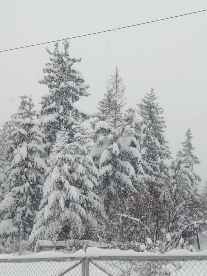 Cicha Dolinka Apartment Zakopane Luaran gambar